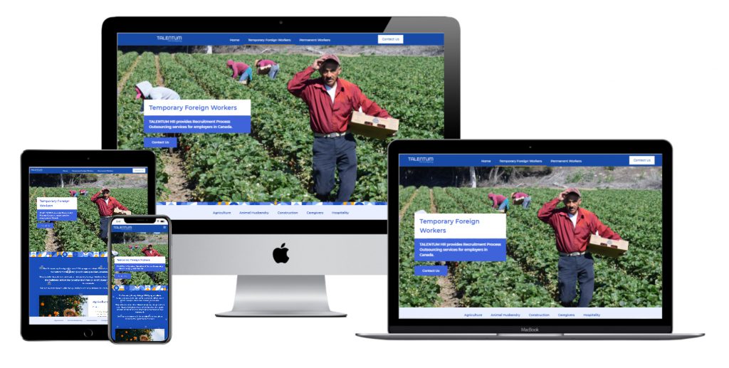 Clientes corporativos Codster - PLM